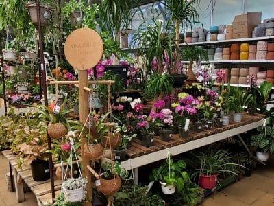 Jardinerie Fabre