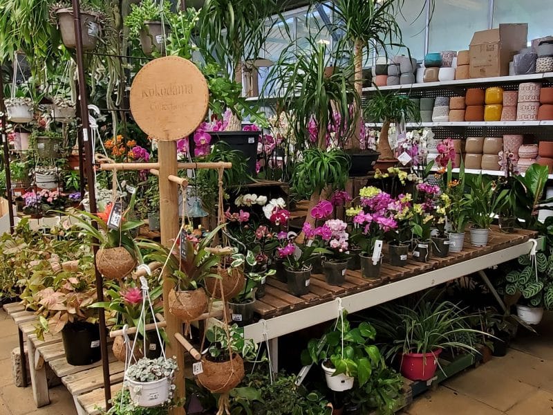 Jardinerie Fabre