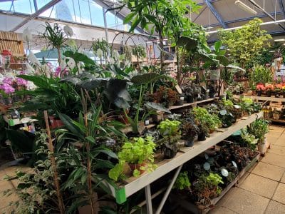 Jardinerie Fabre