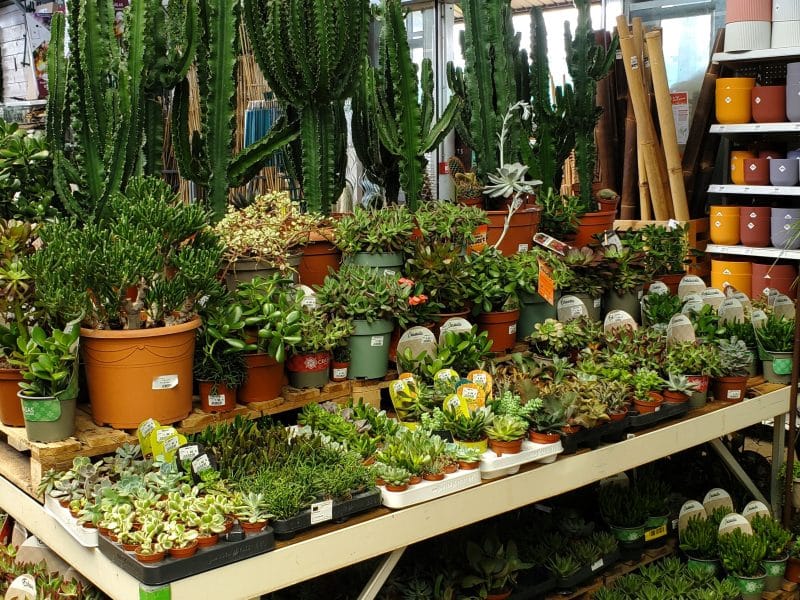 Jardinerie Fabre