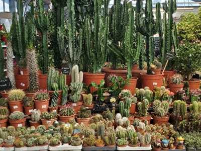 Jardinerie Fabre