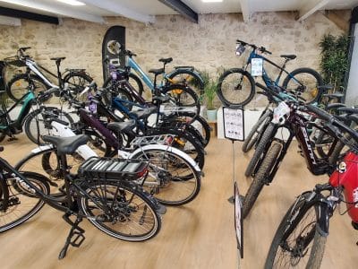 Smile-Ebike