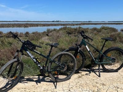 Smile-Ebike