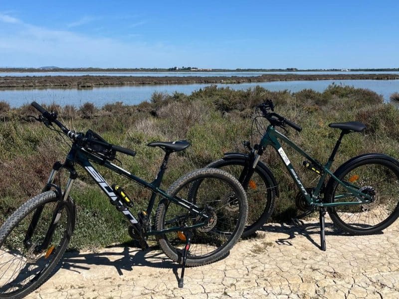 Smile-Ebike